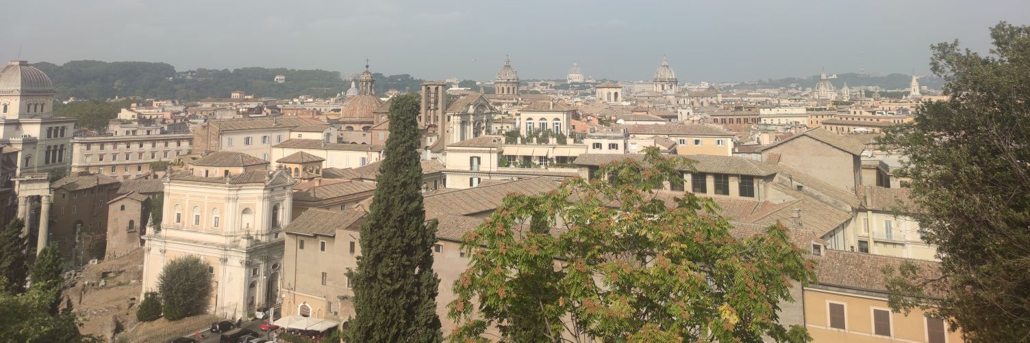 Daniela Patti banner