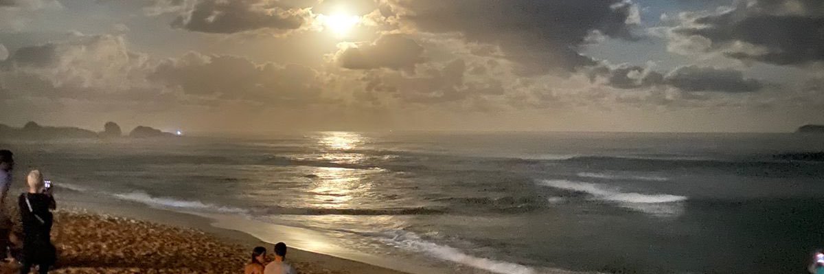 gslucianaa's profile banner image