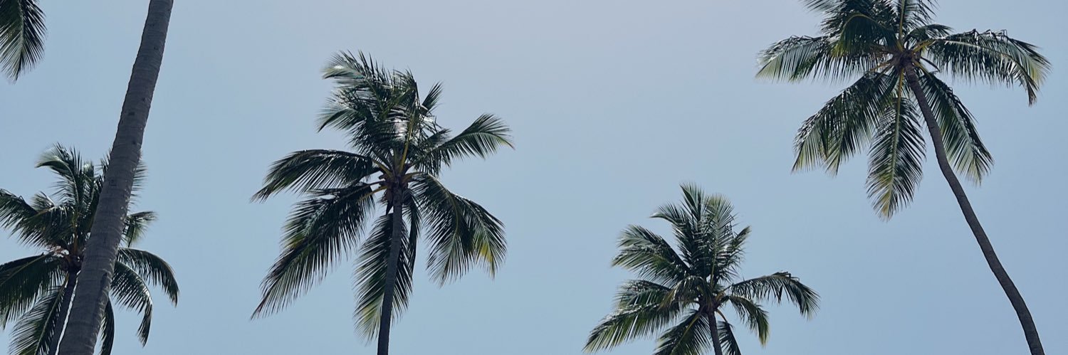 chloemchu's profile banner image