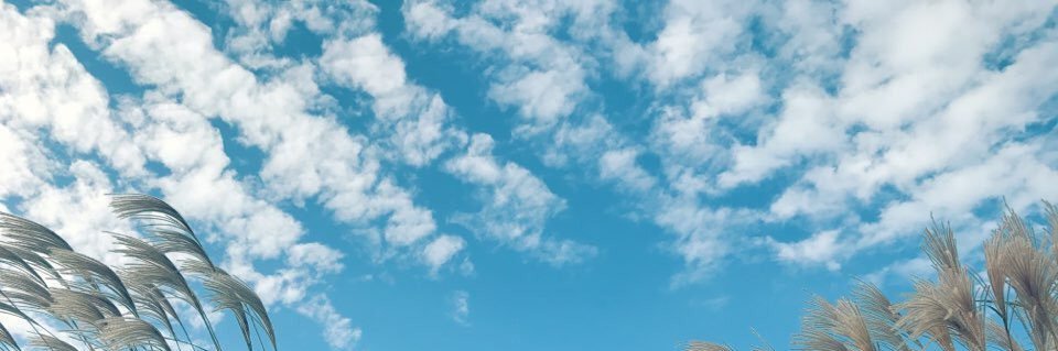 indulgentlogan's profile banner image