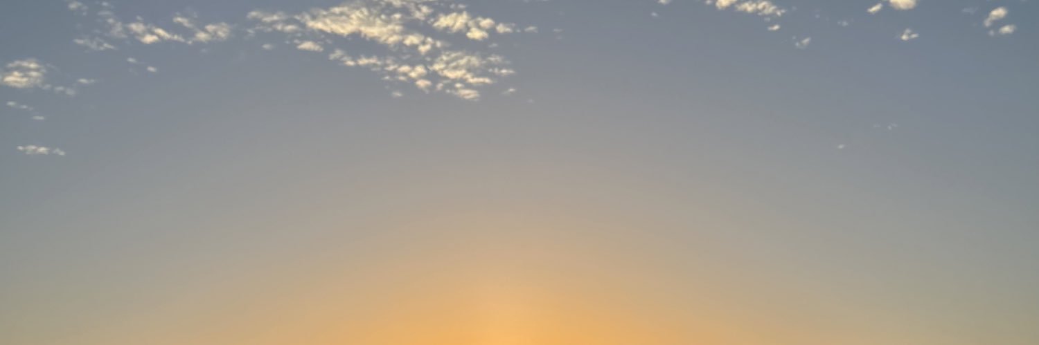 Serena Maggioni banner