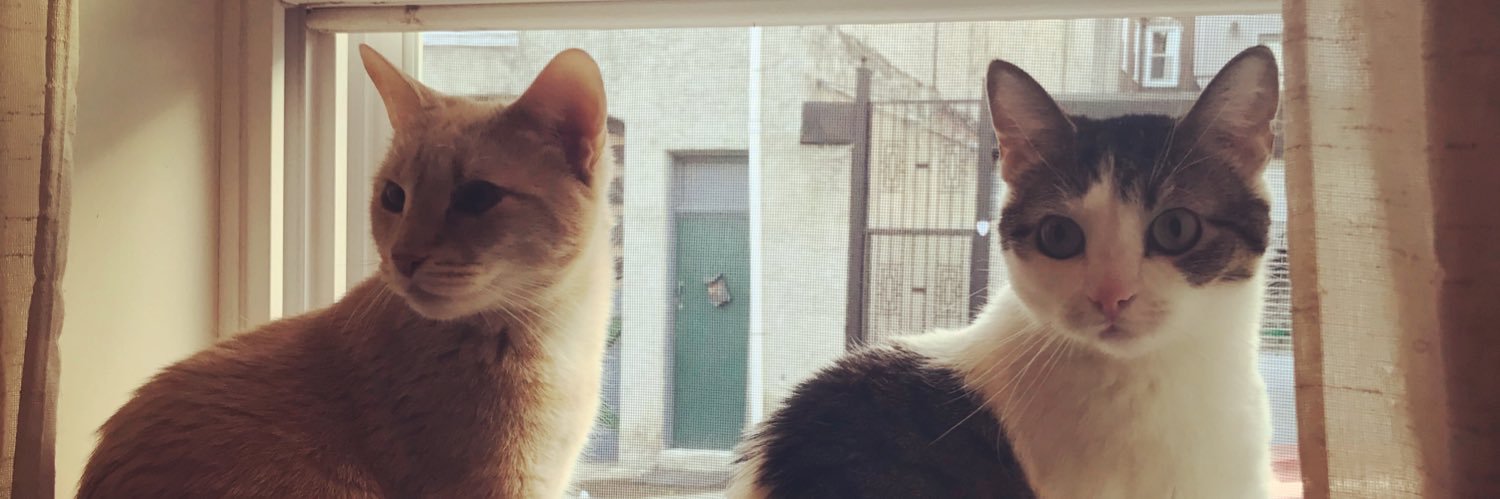 Catherine Sontag banner