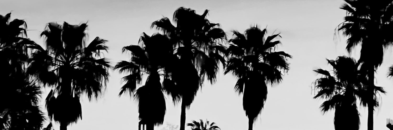 SinagraCharles's profile banner image