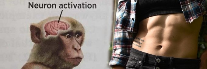 TinyLittleLegs's profile banner image