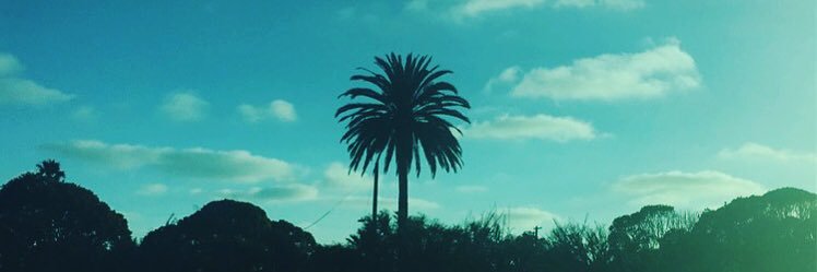 carmgrif's profile banner image