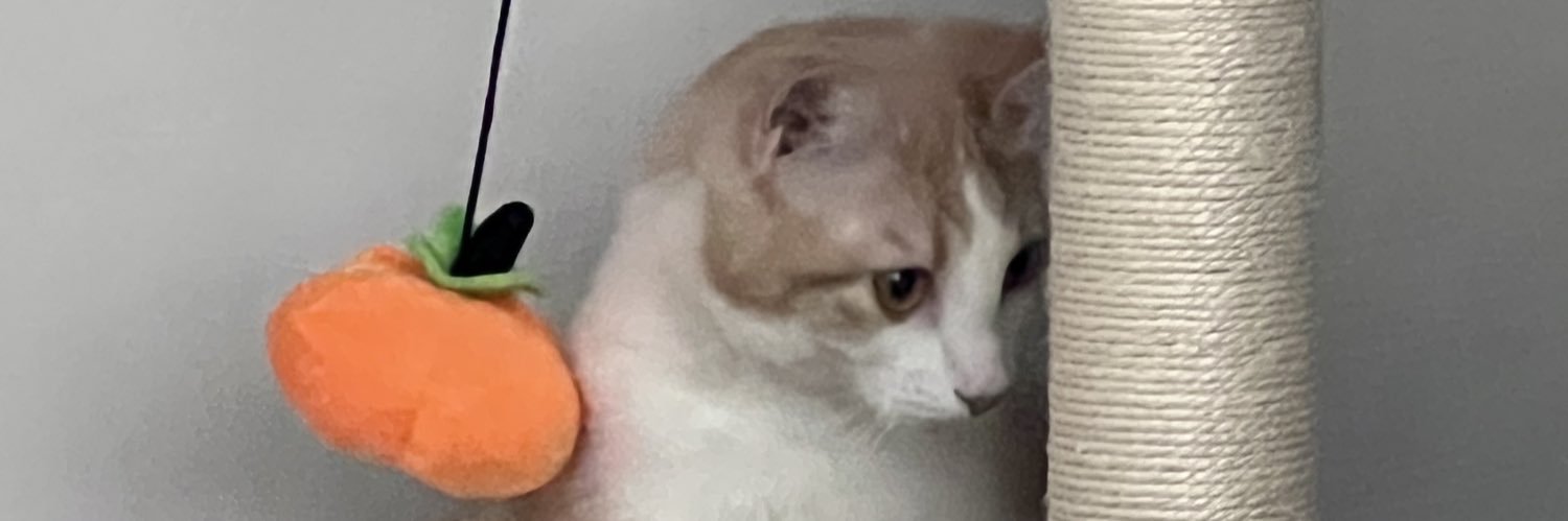 Tankoptimus's profile banner image