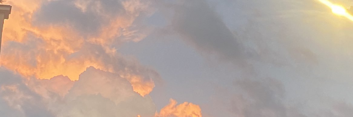 tatianoss's profile banner image