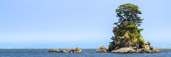 BCI351 Profile Banner