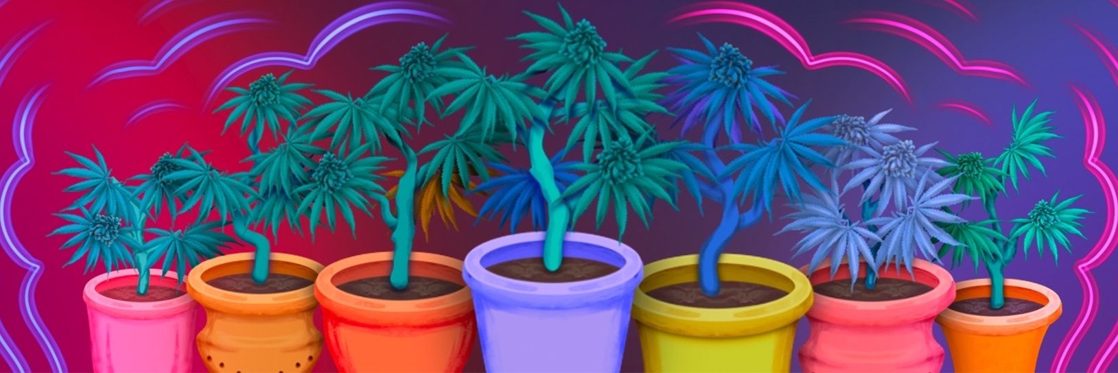 suansimte's profile banner image