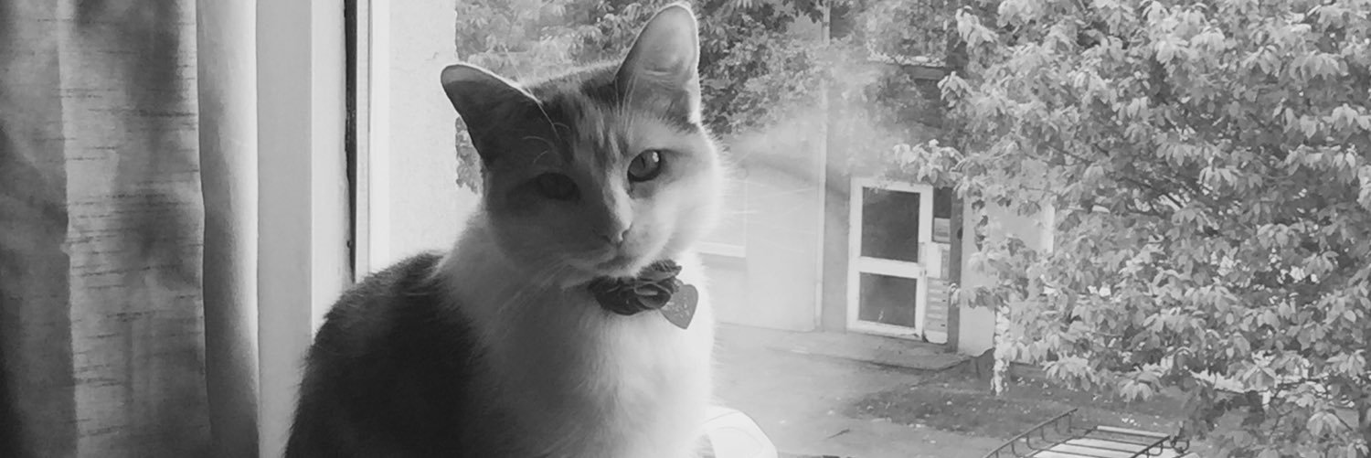 mumneedsalatte's profile banner image