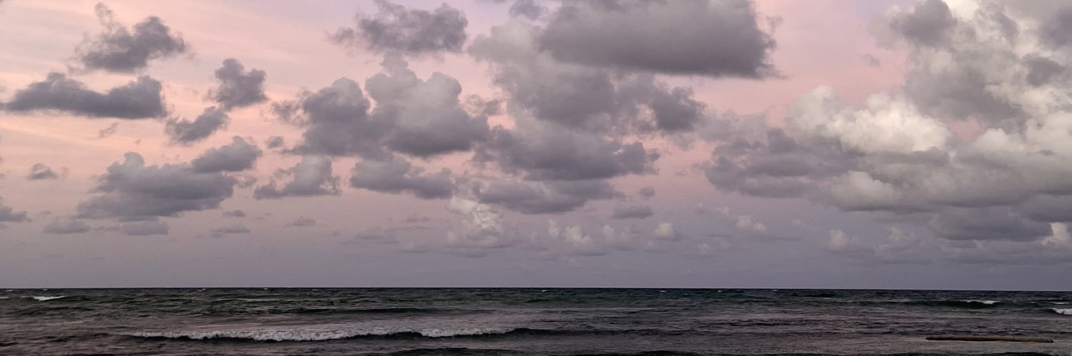 riccijohnsonn's profile banner image