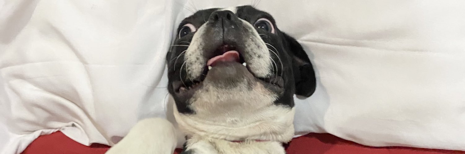 paucdlp's profile banner image