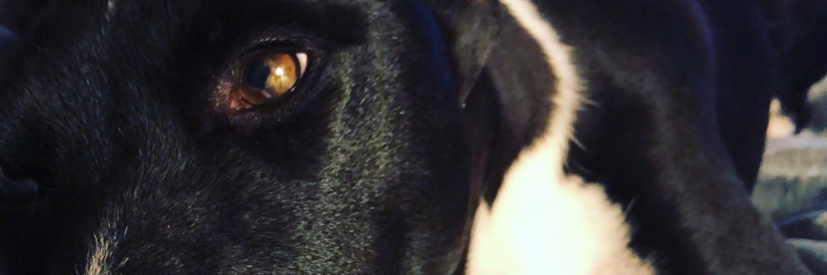 ascendoxtuum's profile banner image
