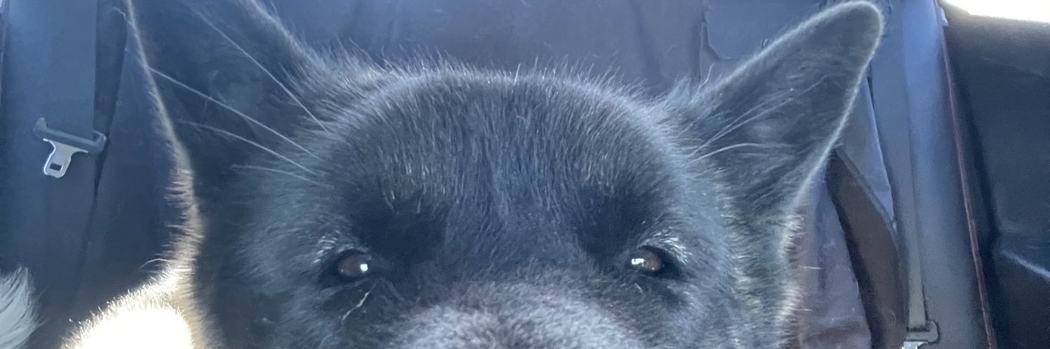 DryCornbread's profile banner image