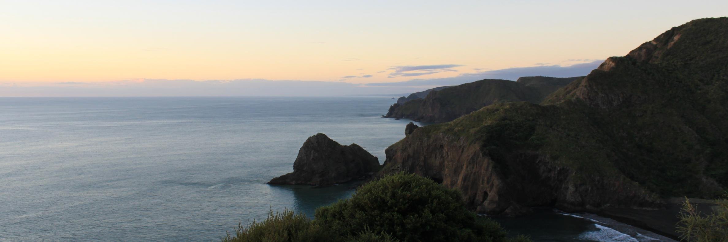 Dr Peter Beaver 🇵🇸 banner