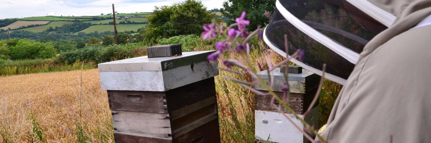 Cornwall Honey 🐝 banner