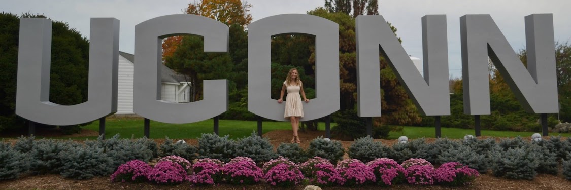 sarahmsullivan0's profile banner image