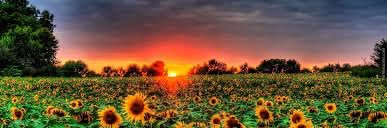 Jacob Johnson banner