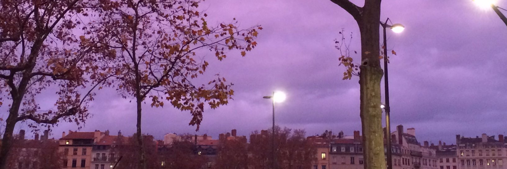 Aliénor Balaudé-André banner