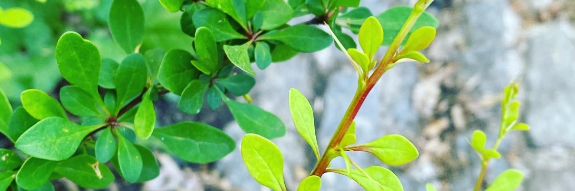 miemmakate's profile banner image