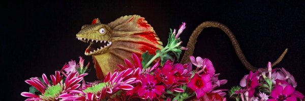 velazqueando Profile Banner