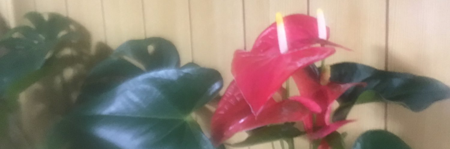 oo8069's profile banner image
