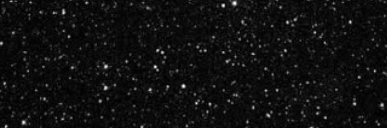 stsfee's profile banner image