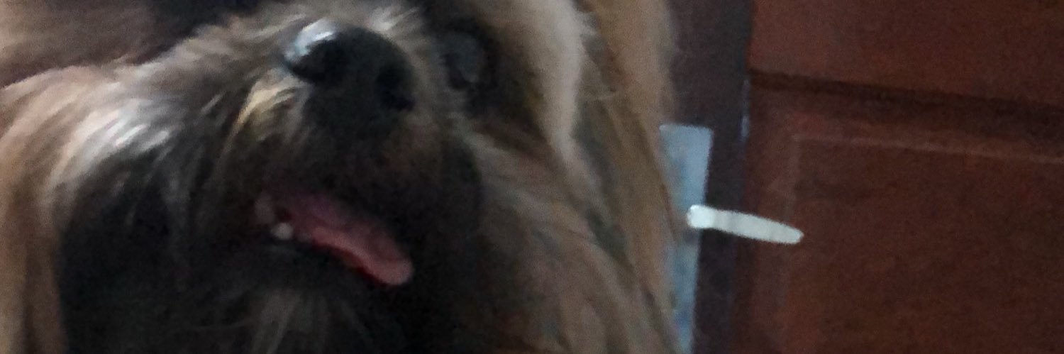 RavalliGabriel's profile banner image