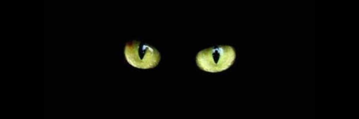 srfernandes09's profile banner image