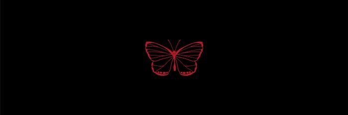 AnissaBiera's profile banner image