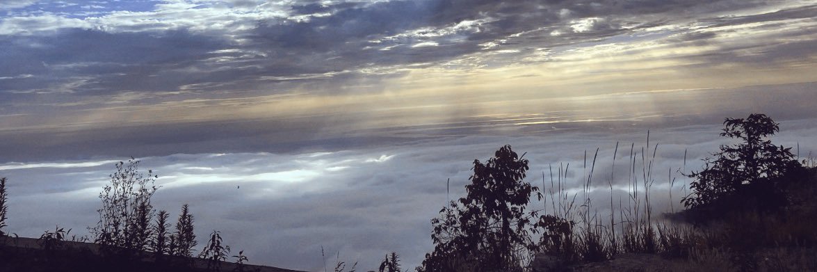 Mamiix3_'s profile banner image