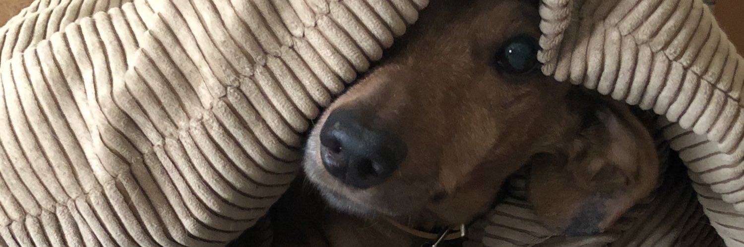 IvanGonta72's profile banner image
