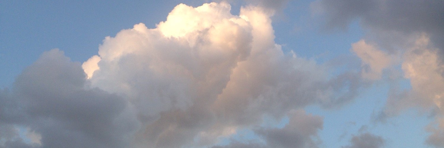 roxannnnaxo's profile banner image