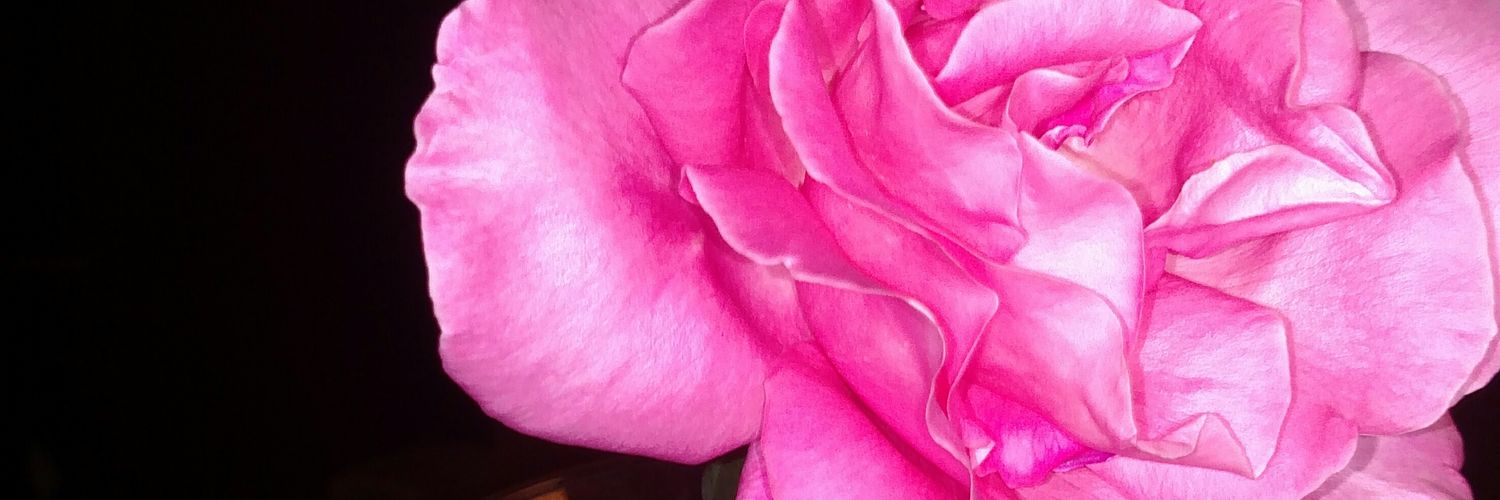 Selnirah's profile banner image