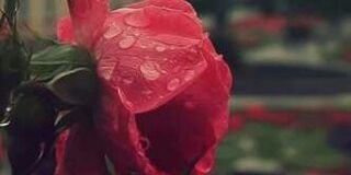 Rno920's profile banner image