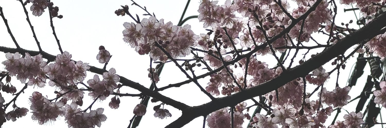 Ryohey_ags's profile banner image