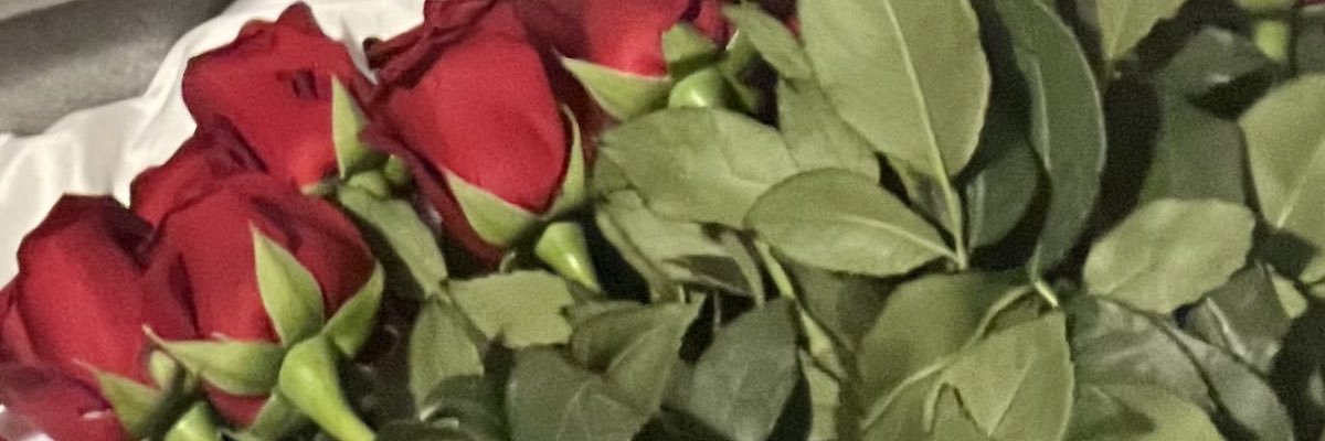 thebarbtye's profile banner image