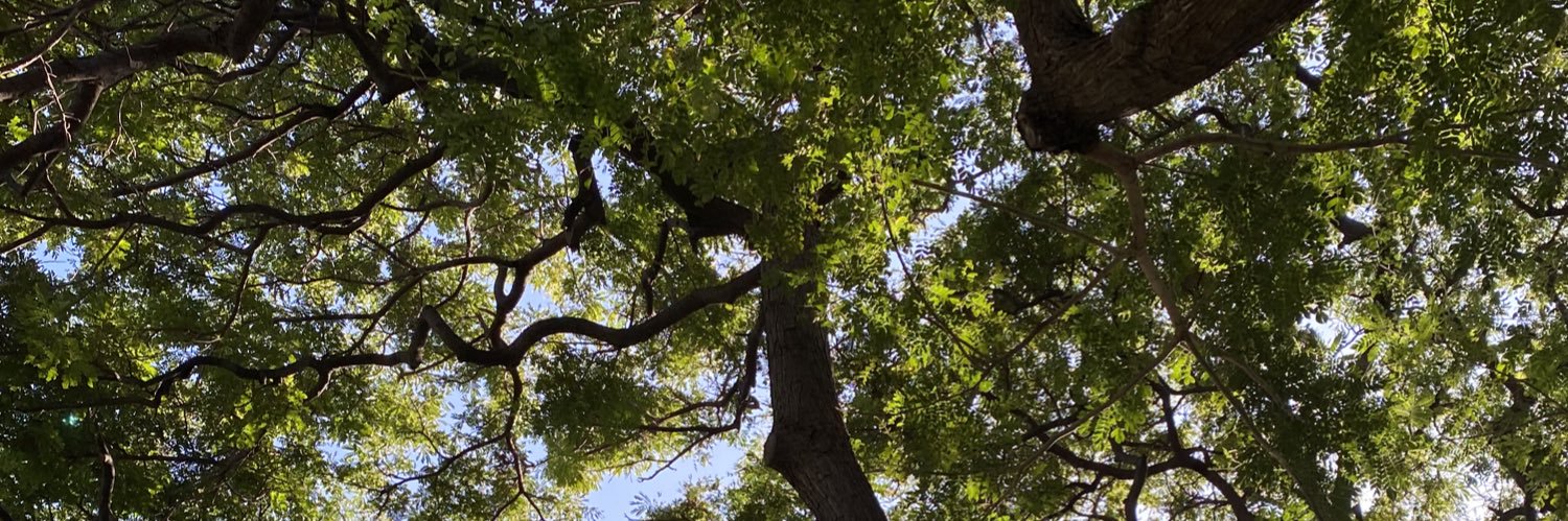 DevenWilson45's profile banner image