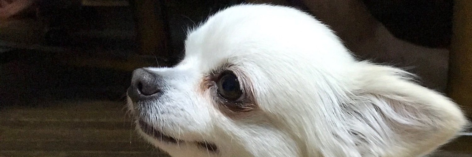 adimoto1005's profile banner image