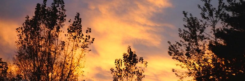 sedat0057's profile banner image