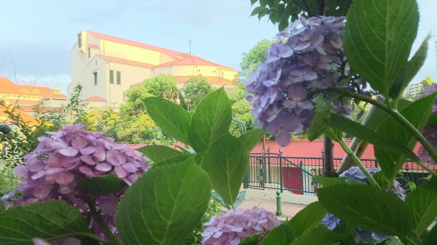 flenc_626's profile banner image