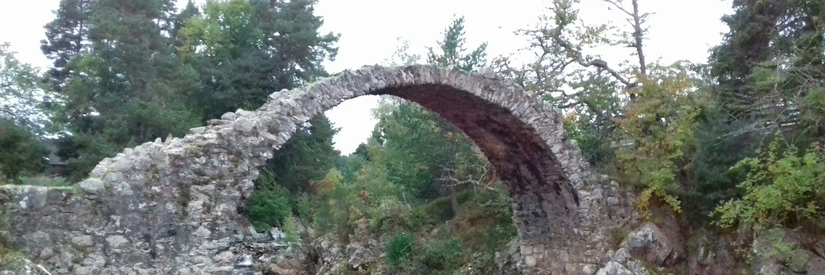 DunnePaddywpd's profile banner image