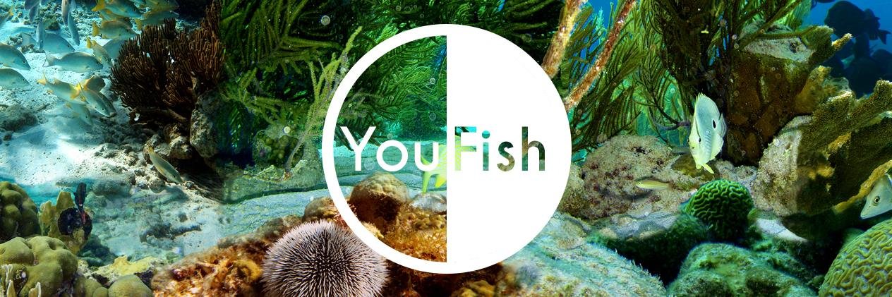 YouFishOfficial's profile banner image