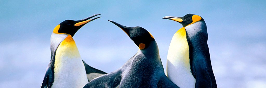 crypto_Airdorp banner