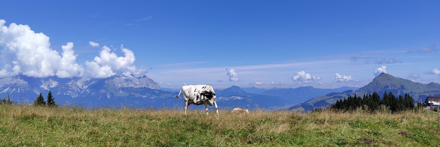 FelipeWigren's profile banner image