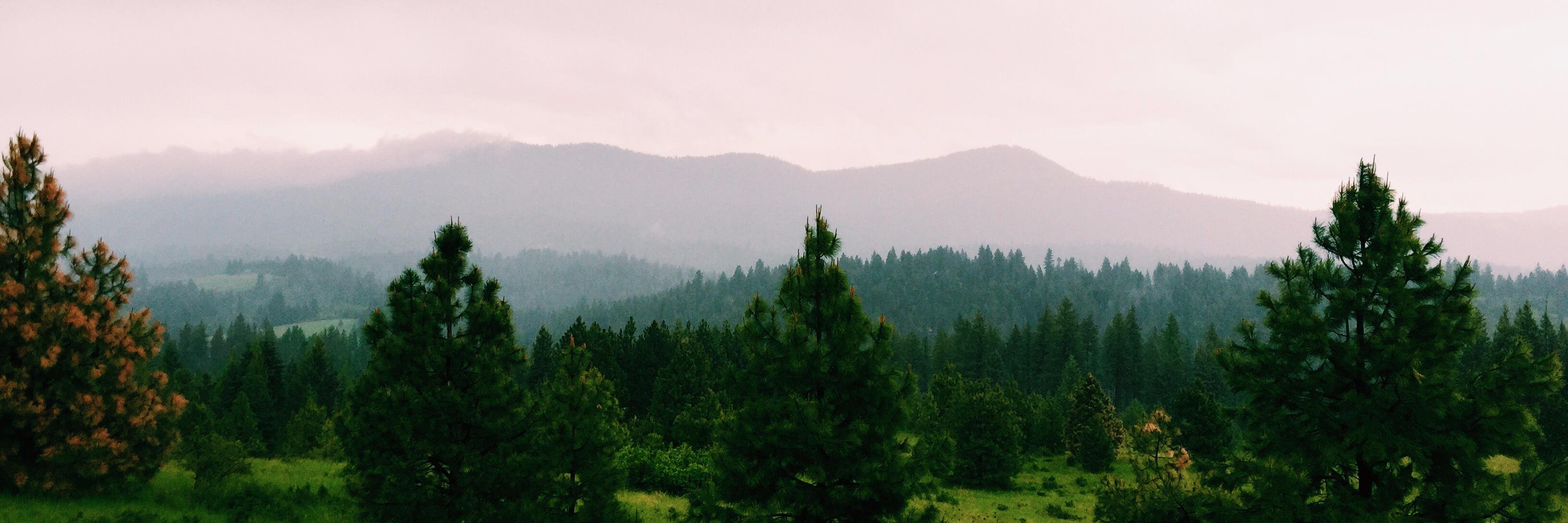 gracemmcguire's profile banner image