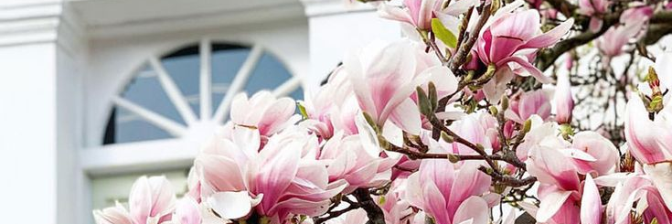 Etu_Love's profile banner image