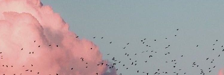 fandom_bitch13's profile banner image