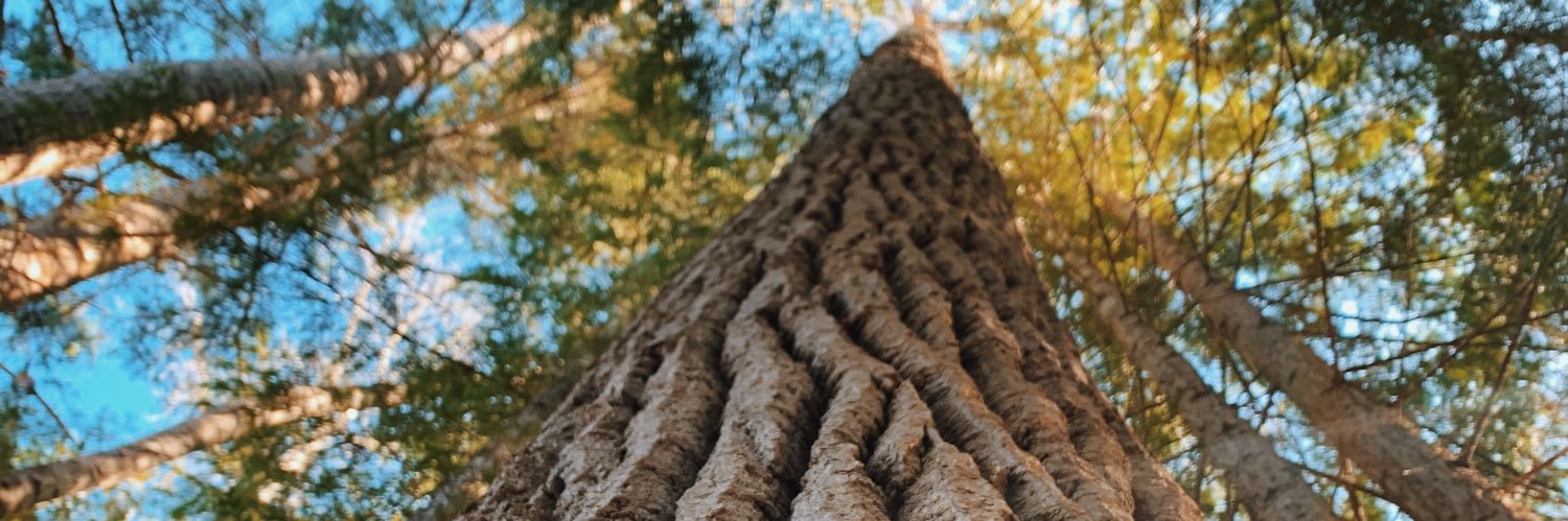 kelseykopper's profile banner image