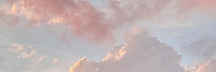 parnmaysa's profile banner image